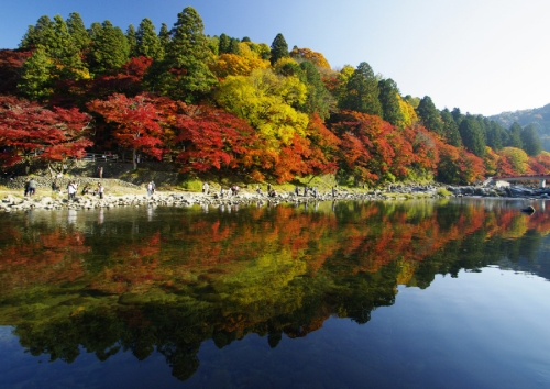 振草渓谷 自然に癒される絶景