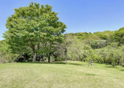 香嵐渓 四季折々の絶景美