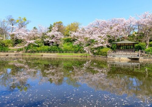 地理的特徴と都市景観