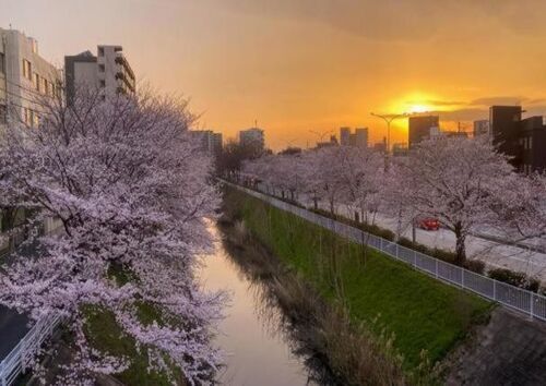 北名古屋市の地理的特徴