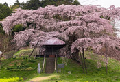 大口町 - 愛知県東部の歴史と自然が織りなす魅力的な町