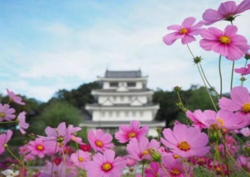 歴史の重みを感じる町並み