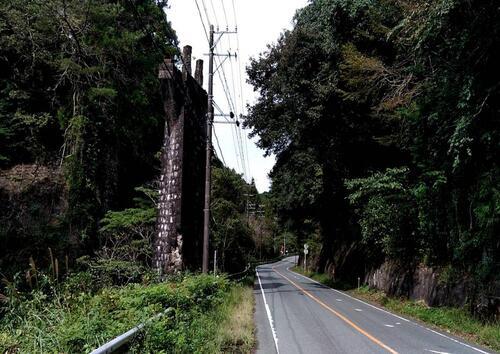 地形と自然環境が育む豊かな生態系