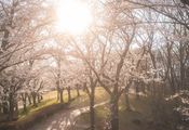 愛知の地で癒しと活力を与える東郷町の魅力