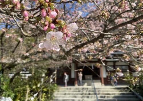 地元に愛されるグルメと特産品